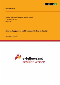 Anwendungen der elektromagnetischen Induktion (eBook, PDF) - Hubert, Florian