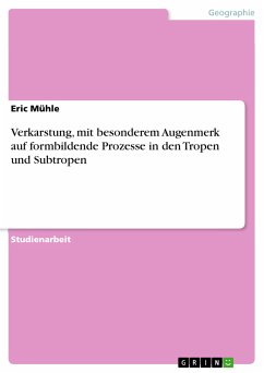 Verkarstung, mit besonderem Augenmerk auf formbildende Prozesse in den Tropen und Subtropen (eBook, PDF) - Mühle, Eric