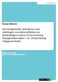 Das fachgerechte Abisolieren und Anbringen von Aderendhülsen an feindrahtigen Leitern (Unterweisung Energieelektroniker / -in , Fachrichtung Anlagentechnik) (eBook, PDF)