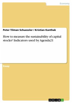 How to measure the sustainability of capital stocks? Indicators used by Agenda21 (eBook, PDF)