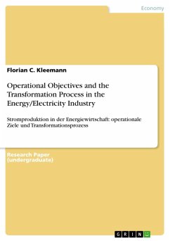 Operational Objectives and the Transformation Process in the Energy/Electricity Industry (eBook, ePUB)