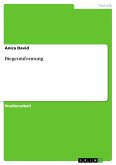 Biegeumformung (eBook, PDF)