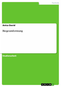 Biegeumformung (eBook, PDF) - David, Anica