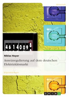 Anreizregulierung auf dem deutschen Elektrizitätsmarkt (eBook, PDF)