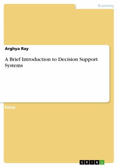 A Brief Introduction to Decision Support Systems (eBook, ePUB)