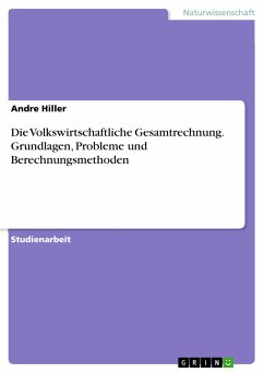 Die Volkswirtschaftliche Gesamtrechnung. Grundlagen, Probleme und Berechnungsmethoden (eBook, PDF) - Hiller, Andre