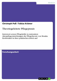 Theoriegeleitete Pflegepraxis (eBook, PDF)