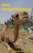 Der Orientblues (eBook, ePUB) - Bild 1