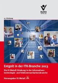 Entgelt in der ITK-Branche 2013 (eBook, ePUB)