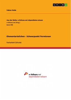 Elementarteilchen - Schwerpunkt Fermionen (eBook, PDF) - Heide, Fabian