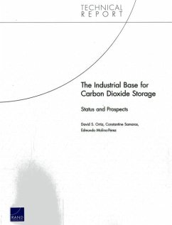 The Industrial Base for Carbon Dioxide Storage - Ortiz, David S; Samaras, Constantine; Molina-Perez, Edmundo