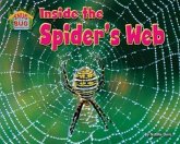 Inside the Spider's Web