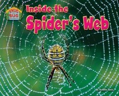 Inside the Spider's Web - Lunis, Natalie