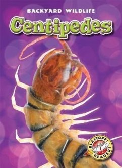 Centipedes - Gates, Margo