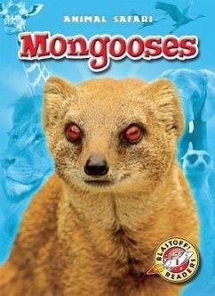 Mongooses - Borgert-Spaniol, Megan