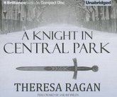 A Knight in Central Park