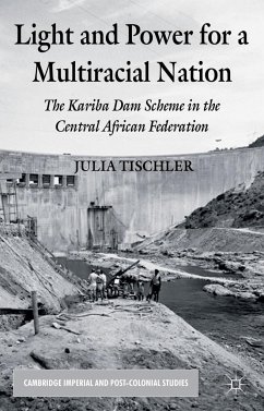 Light and Power for a Multiracial Nation - Tischler, J.