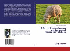 Effect of Acacia saligna on production and reproduction of sheep - Berhe, Gebreslassie Gebru