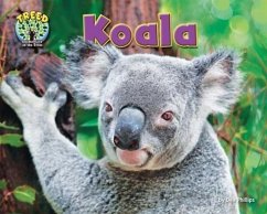 Koala - Phillips, Dee
