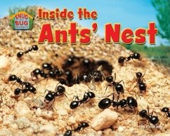 Inside the Ants' Nest - Ang, Karen