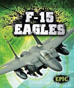 F-15 Eagles - Finn, Denny von