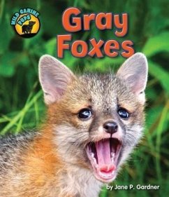 Gray Foxes - Gardner, Jane P.
