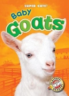Baby Goats - Schuetz, Kari