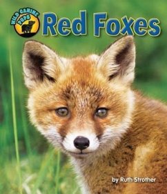 Red Foxes - Strother, Ruth