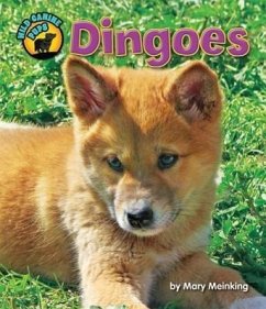 Dingoes - Meinking, Mary