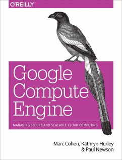 Google Compute Engine - Cohen, Marc; Hurley, Kathryn; Newson, Paul