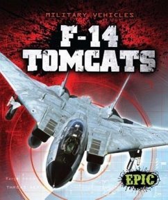 F-14 Tomcats - Finn, Denny von