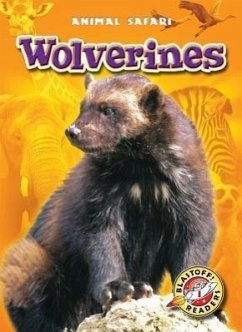 Wolverines - Borgert-Spaniol, Megan