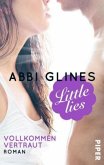 Little Lies - Vollkommen vertraut / Vincent Boys Bd.2