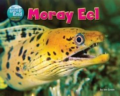 Moray Eel - Green, Jen
