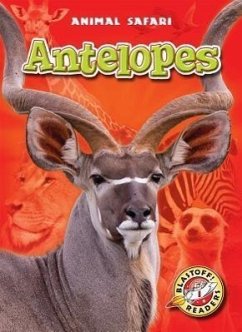 Antelopes - Gates, Margo