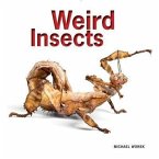 Weird Insects