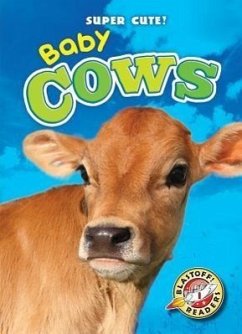 Baby Cows - Schuetz, Kari