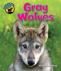 Gray Wolves - Meinking, Mary