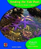 Tending the Tide Pool: The Parts Make a Whole