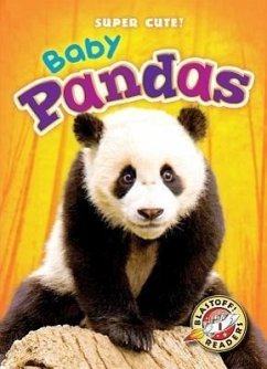 Baby Pandas - Olson, Bethany