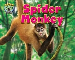 Spider Monkey - Phillips, Dee