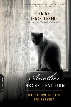 Another Insane Devotion - Trachtenberg, Peter
