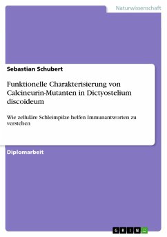 Funktionelle Charakterisierung von Calcineurin-Mutanten in Dictyostelium discoideum (eBook, PDF)