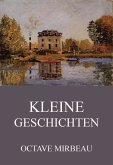 Kleine Geschichten (eBook, ePUB)