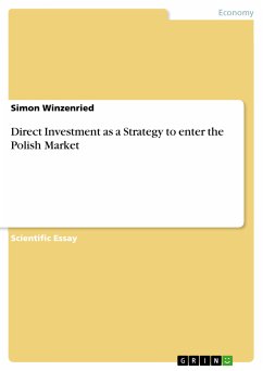 Direct Investment as a Strategy to enter the Polish Market (eBook, PDF)