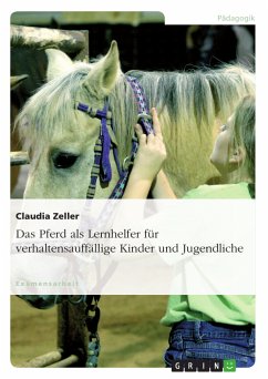 Das Pferd als Lernhelfer für verhaltensauffällige Kinder und Jugendliche (eBook, PDF)