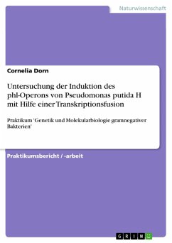 Cover Untersuchung der Induktion des phl-Operons von Pseudomonas putida H mit Hilfe einer Transkriptionsfusion (eBook, ePUB)