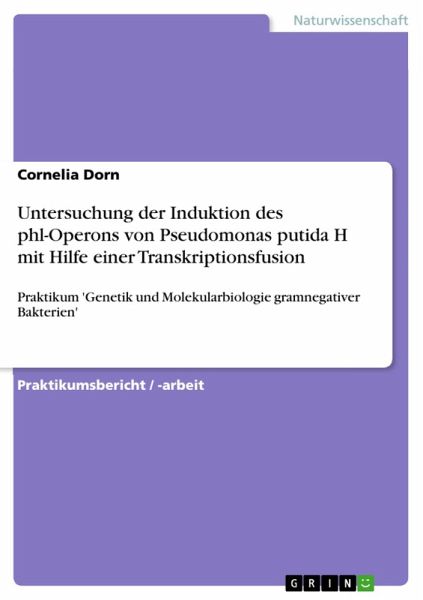 Untersuchung der Induktion des phl-Operons von Pseudomonas putida H mit Hilfe einer Transkriptionsfusion (eBook, ePUB) Untersuchung der Induktion des phl-Operons von Pseudomonas putida H mit Hilfe einer Transkriptionsfusion (eBook, ePUB)