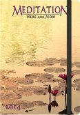 Meditation, Agenda 2014