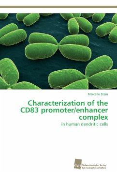 Characterization of the CD83 promoter/enhancer complex - Stein, Marcello